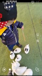 -萌宠亲子动物乐园(槐房万达店)