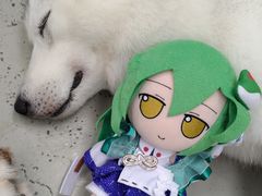 -星多哈·狗咖·拼豆·咖啡