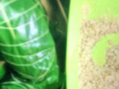 -璐坊粽王(复兴中路店)