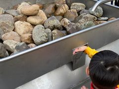 -杭州少年儿童公园