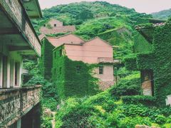 -枸杞岛