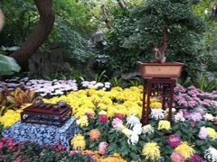 -汇龙潭