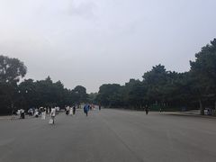 -北陵公园
