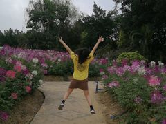 -广东花都香草世界旅游度假区