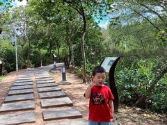 -大亚湾红树林城市湿地公园