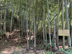 -会稽山峡洞漂流-上青古道