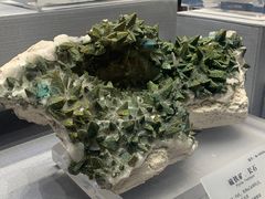 -湖南省地质博物馆