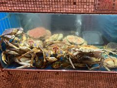 水产区-阳光码头海鲜火锅(世纪大道店)