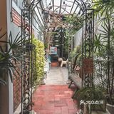 咖啡日记｜曼谷人气高颜森系法式Cafe