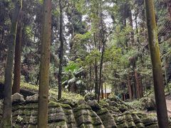 -梭布垭石林景区