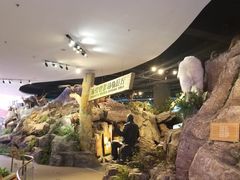 -陕西自然博物馆