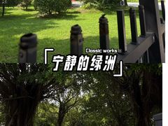 -揭阳楼