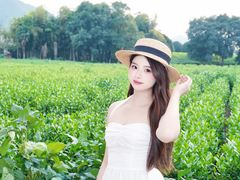 -帐篷客·溪龙茶谷度假酒店