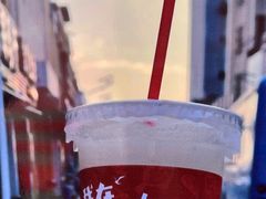 -南澳岛打卡果汁冰公司