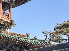 -盐池神庙