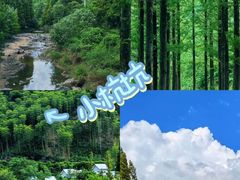 -阿露佳·舌尖上的安吉菜