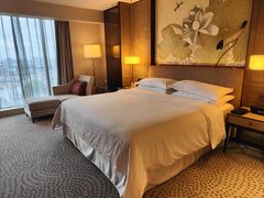 -上海嘉定喜来登酒店