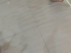 -探鱼·鲜青椒爽麻烤鱼(增城东汇城店)