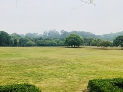 -福建鲤鱼洲酒店