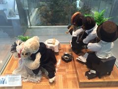 -济州岛泰迪熊博物馆