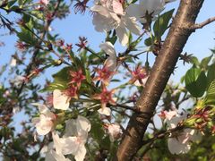 -韶山毛泽东同志故居