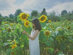 -名花谷生态庄园