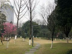 -百林公园-两江幸福广场