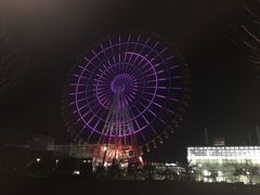 -台场海滨公园船码头