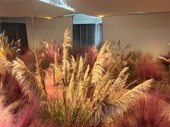 -精绝七日-新疆尼雅遗址数字大展【拉法耶文化艺术中心】