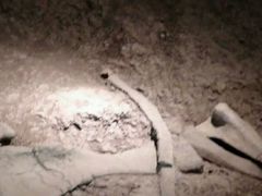 -世界恐龙谷景区