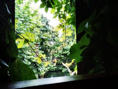 -思南书局(复兴中路店)
