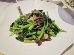鹿茸菌炒菜心-来相会饺子·新辽菜(甘家口店)