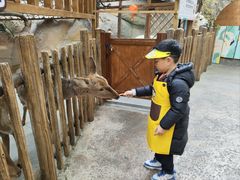 -杭州开元森泊度假乐园