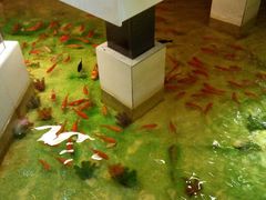 android_upload_pic-新兴园饺子馆(河南街店)