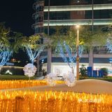 湖滨的麦子黄了!