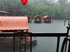 -侨美·唐荔园·40年地道粤菜