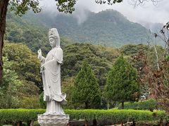 -灵光寺