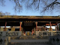 -大槐树寻根祭祖园