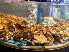 -望海臻鲜·海鲜餐厅