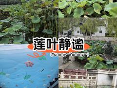 -厦门园林博览苑