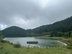 -武陵山森林公园