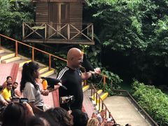 -新加坡飞禽公园