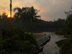 -深圳仙湖植物园
