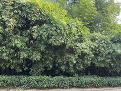 -京杭上院·河景花园餐厅·杭帮菜名店