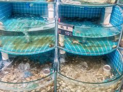 -正亮农家院·海鲜本地菜
