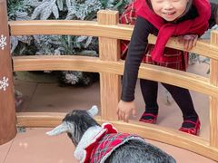 -东莞松山湖万象汇