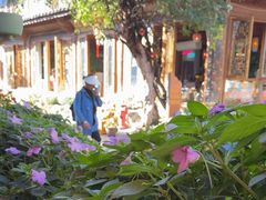 -民食香·腊排骨野生菌美食(木府店)