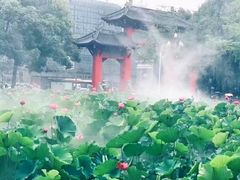 -四川大学(望江校区)