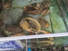 木瓜螺-拉威海鲜市场