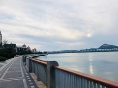 -星光岛